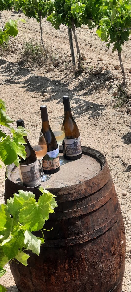 vinsferretigranell