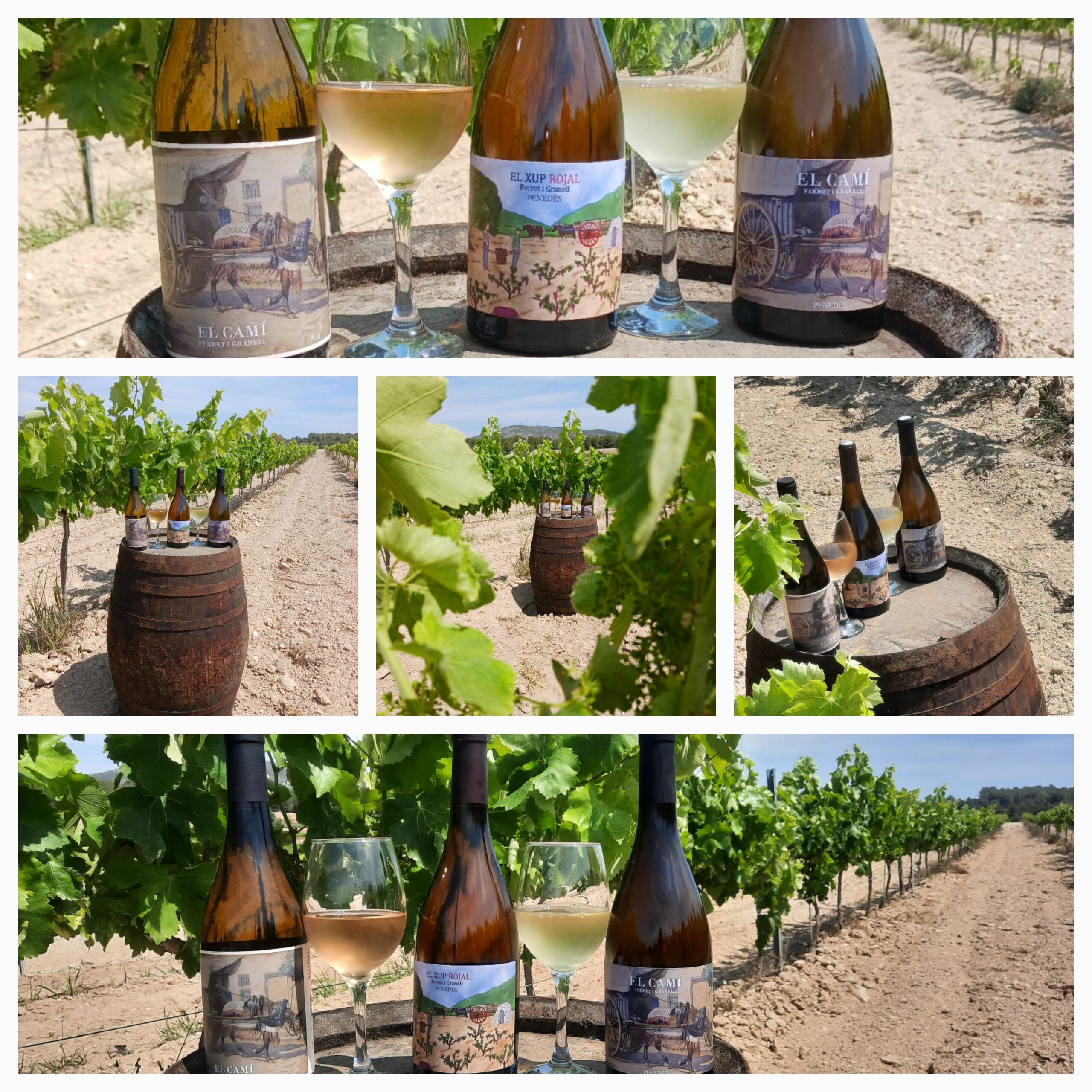 collage vins ferret i granell