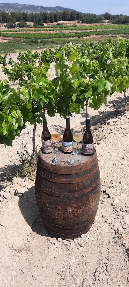 vins ferrets i granell