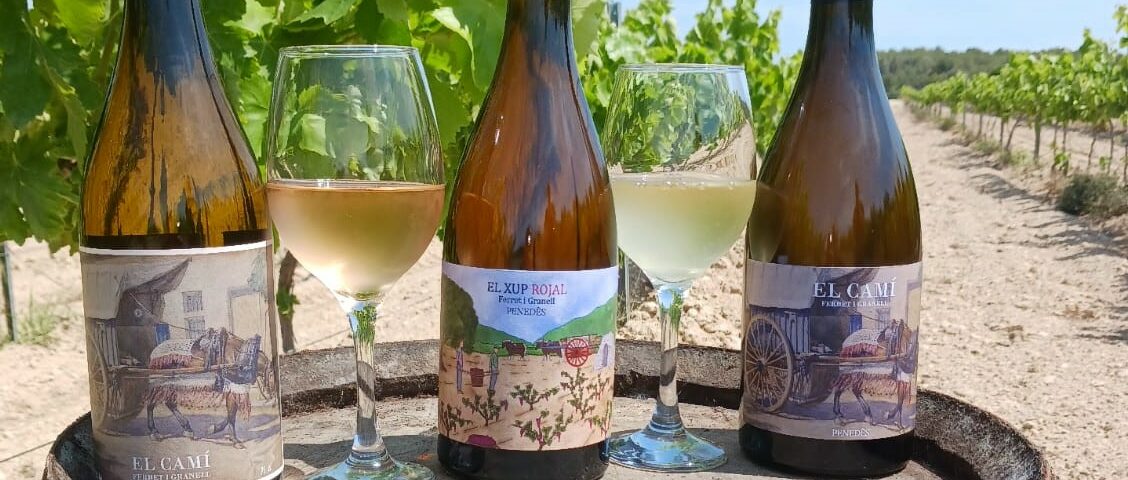 vins ferret i granell